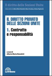 Il diritto privato delle sezioni unite. Vol. 1: Contratto e responsabilità. - copertina