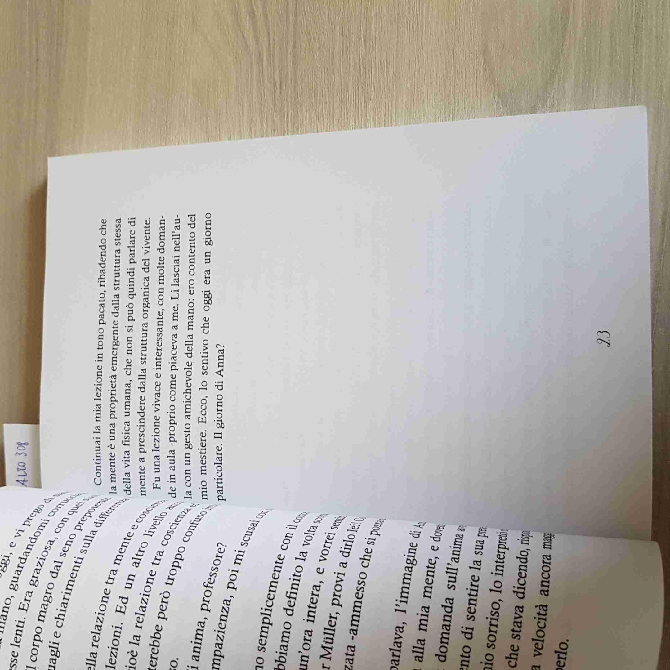 I lampi tranquilli della mente