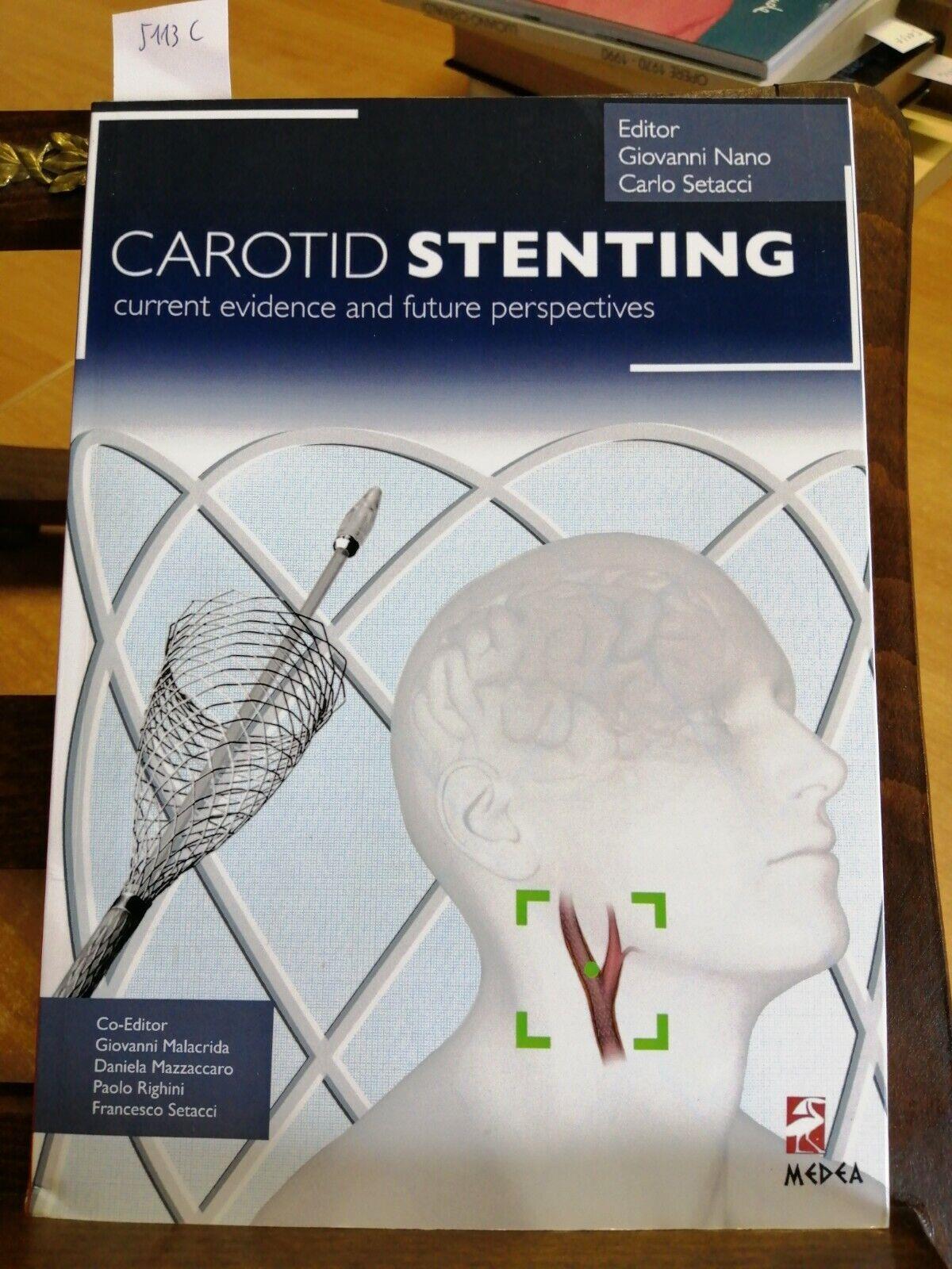 Carotid stenting: current evidence and future perspectives