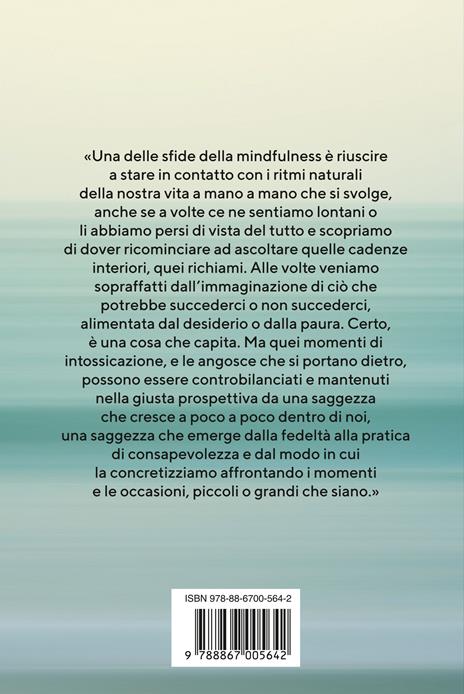 Guarire con la mindfulness. Un nuovo modo di essere - Jon Kabat-Zinn - 2