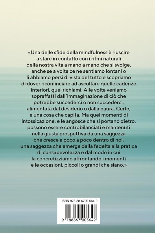 Guarire con la mindfulness. Un nuovo modo di essere - Jon Kabat-Zinn - 2