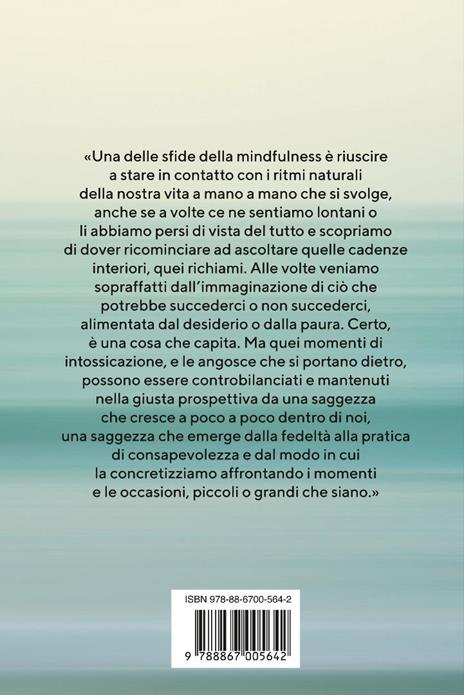 Guarire con la mindfulness. Un nuovo modo di essere - Jon Kabat-Zinn - 5