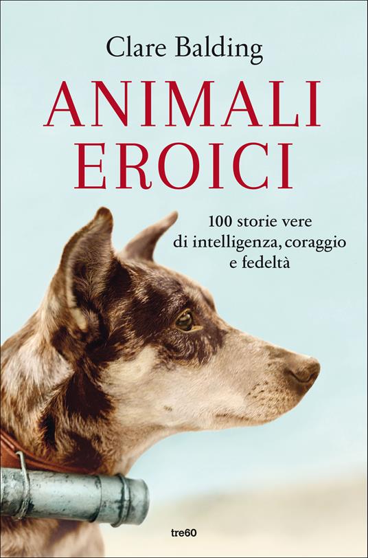 Animali eroici. 100 storie vere di intelligenza, coraggio e fedeltà - Clare  Balding - Libro - TRE60 - Varia TRE60