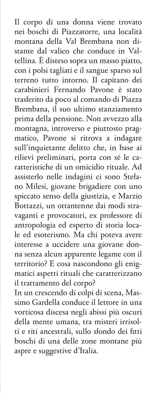 Luci nel bosco - Massimo Gardella - 4