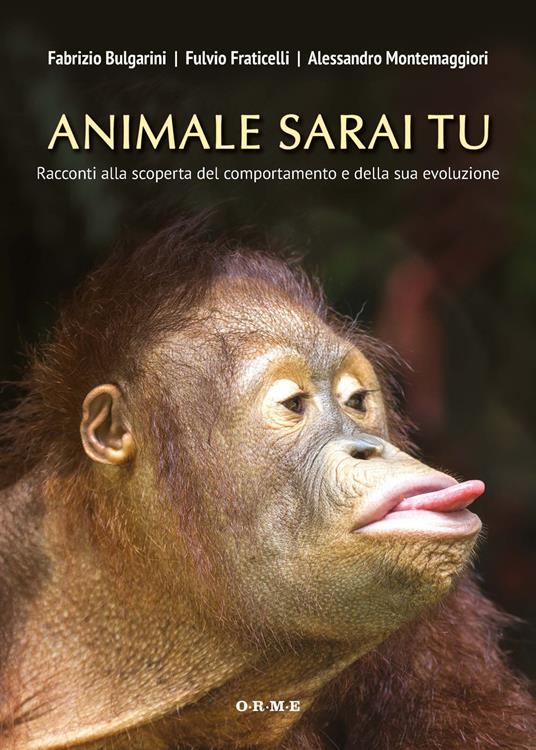 Animale sarai tu. Racconti alla scoperta del comportamento e della sua evoluzione - Fabrizio Bulgarini,Fulvio Fraticelli,Alessandro Montemaggiori - copertina