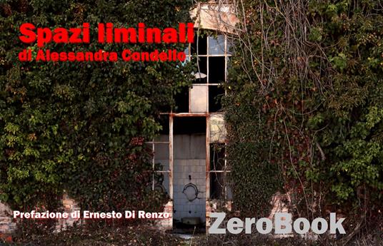 Spazi liminali. Ediz. illustrata - Alessandra Condello - ebook