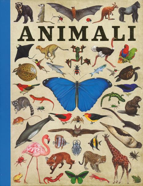 Animali. Ediz. a colori - Camilla de La Bédoyère - copertina