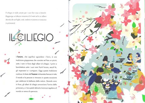 Sotto le fronde. Alberi di tutto il mondo. Ediz. a colori - Iris Volant,Cynthia Alonso - 3