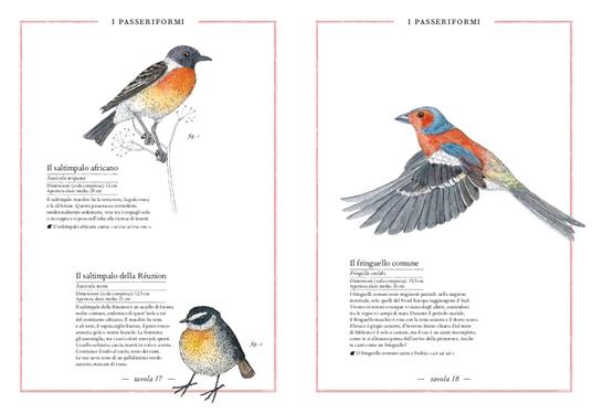 Inventario illustrato degli uccelli - Emmanuelle Tchoukriel,Virginie Aladjidi - 2