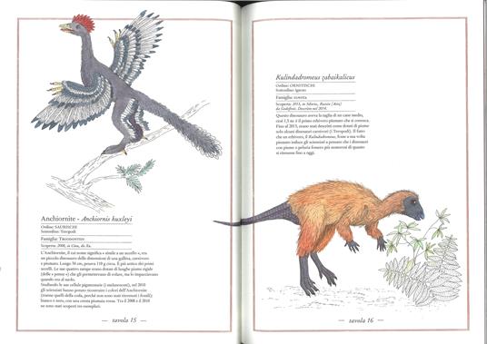 Inventario illustrato dei dinosauri - Virginie Aladjidi,Emmanuelle Tchoukriel - 4