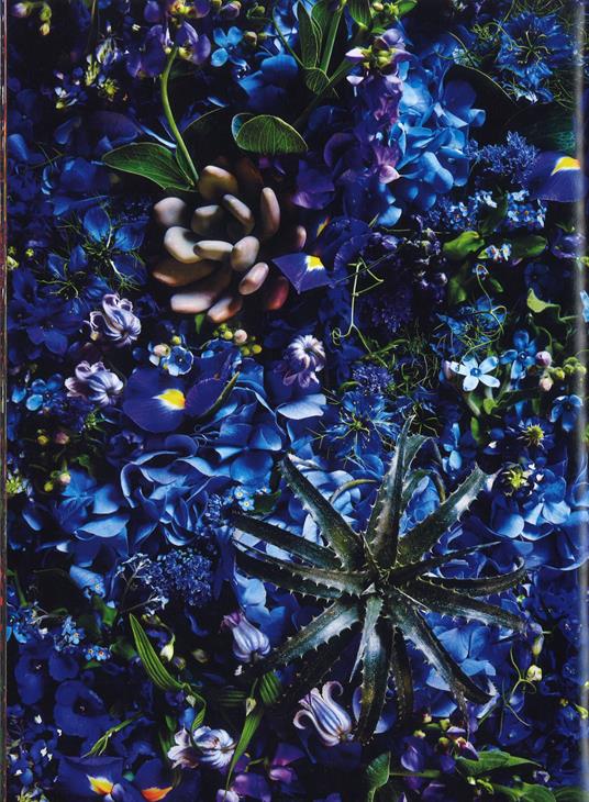 Florilegio i fiori, il tempo, la vita - Makoto Azuma,Shunsuke Shiinoki - 3