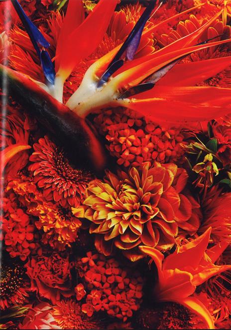 Florilegio i fiori, il tempo, la vita - Makoto Azuma,Shunsuke Shiinoki - 5