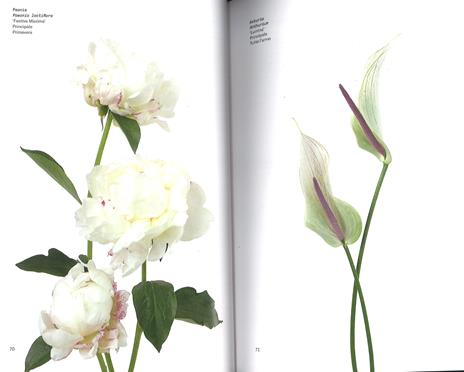 Il colore dei fiori - Michael Putnam,Taylor Putnam - 5
