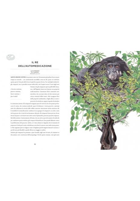 Atlante di zoologia poetica - Emmanuelle Pouydebat - 5