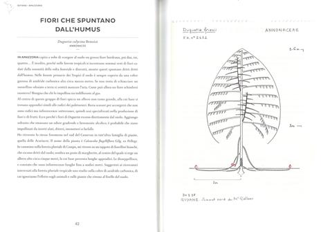 Atlante di botanica poetica. Ediz. illustrata - Francis Hallé - 5