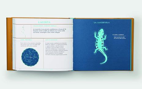 Guardando le stelle. Una guida completa alle 88 costellazioni - Sara Gillingham - 8