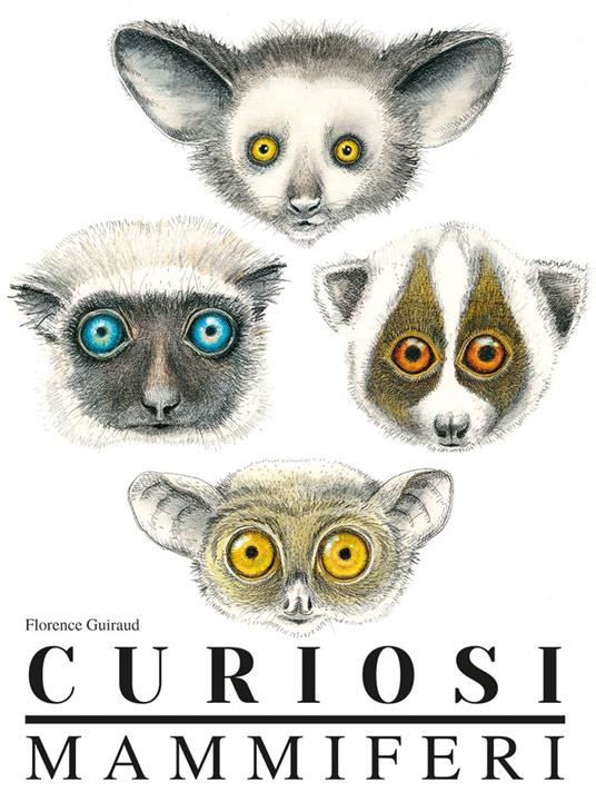 Curiosi mammiferi. Ediz. a colori - Florence Guiraud - copertina