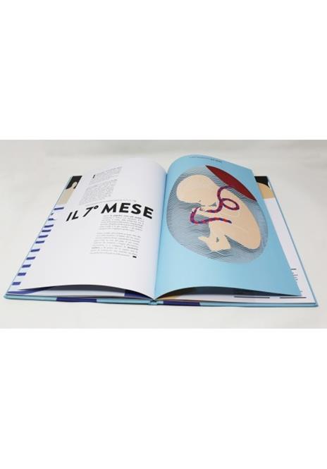 Nascita. Un libro animato per esplorare le origini della vita - Hélène Druvert - 6