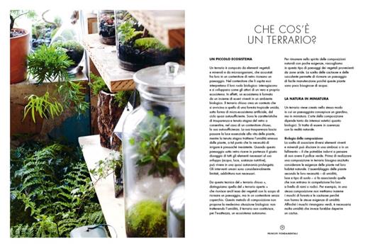 Terrarium. Mondi vegetali sotto vetro - Anna Bauer,Noam Levy - 4