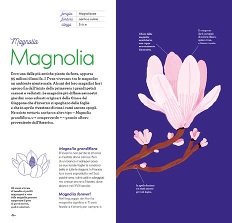 Fiori di stagione. Ediz. a colori - Emmanuelle Kecir-Lepetit - 5