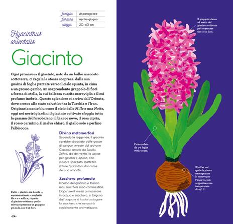 Fiori di stagione. Ediz. a colori - Emmanuelle Kecir-Lepetit - 7