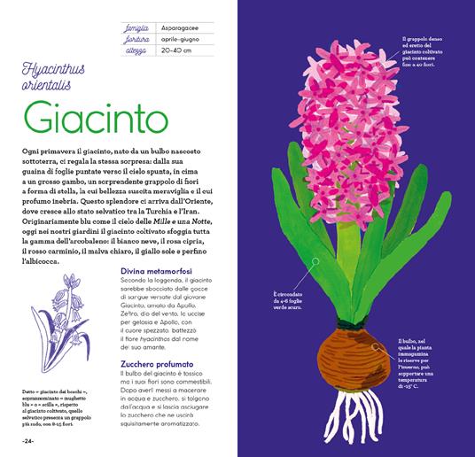 Fiori di stagione. Ediz. a colori - Emmanuelle Kecir-Lepetit - 7