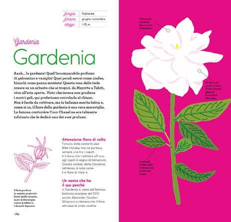Fiori di stagione. Ediz. a colori - Emmanuelle Kecir-Lepetit - 8