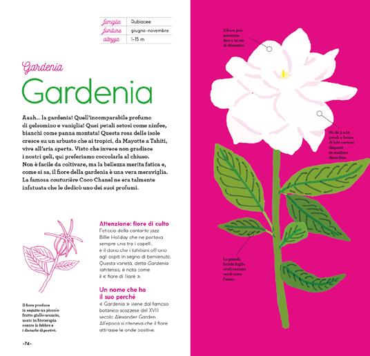 Fiori di stagione. Ediz. a colori - Emmanuelle Kecir-Lepetit - 8