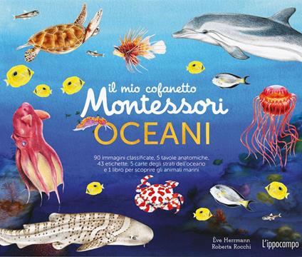 Il mio cofanetto Montessori degli oceani. Ediz. a colori. Con 90 carte degli animali. Con 5 carte degli strati dell'oceano. Con 43 etichette. Con 5 tavole anatomiche - Roberta Rocchi,Ève Herrmann - copertina