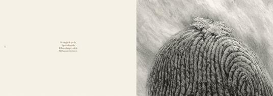 Il fiocco. Ispirato al racconto di Keplero «De nive sexangula». Ediz. illustrata - Laurent Gapaillard,Bertrand Santini - 5