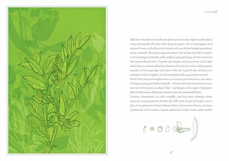 Atlante di botanica elementare - Jean-Jacques Rousseau - 2