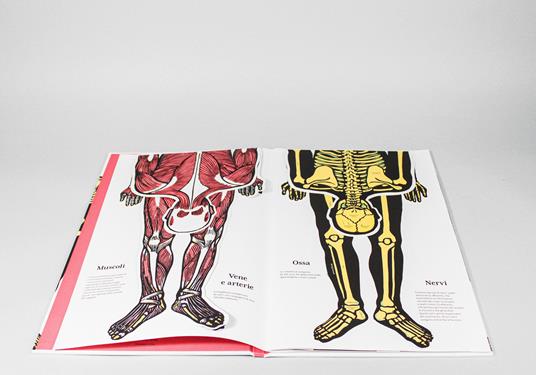 Il corpo umano. Ediz. a colori - Joëlle Jolivet - 2