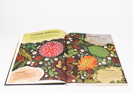 Regni minuscoli. Ediz. a colori - Anne Jankeliowitch - 2