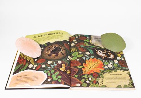 Regni minuscoli. Ediz. a colori - Anne Jankeliowitch - 3