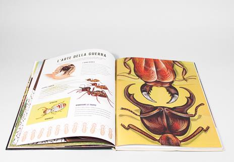 Regni minuscoli. Ediz. a colori - Anne Jankeliowitch - 4