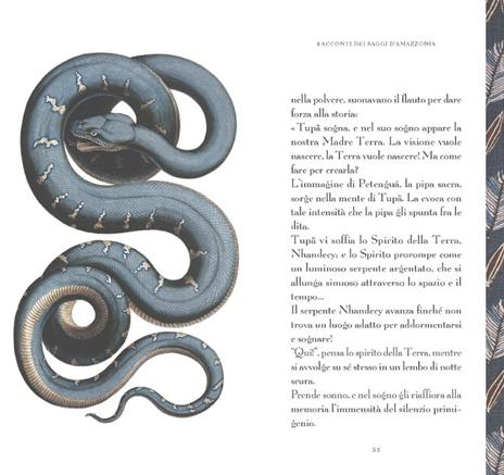 Racconti dei saggi d'Amazzonia - Pierre-Olivier Bannwarth - 3