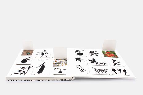 Il piccolo mondo del giardino. Fiori, frutti e animaletti.... Ediz. illustrata - François Delebecque - 3