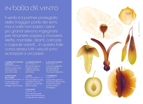 L'odissea dei semi. Ediz. a colori - Cruschiform - 2