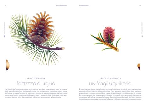 L'odissea dei semi. Ediz. a colori - Cruschiform - 4