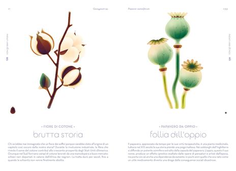 L'odissea dei semi. Ediz. a colori - Cruschiform - 5