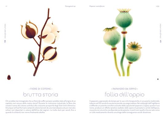 L'odissea dei semi. Ediz. a colori - Cruschiform - 5