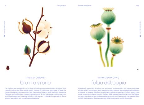 L'odissea dei semi. Ediz. a colori - Cruschiform - 6