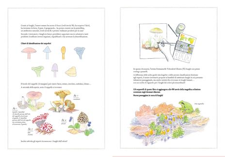 Inventario illustrato dei funghi. Ediz. a colori - Virginie Aladjidi,Caroline Pellissier,Emmanuelle Tchoukriel - 2