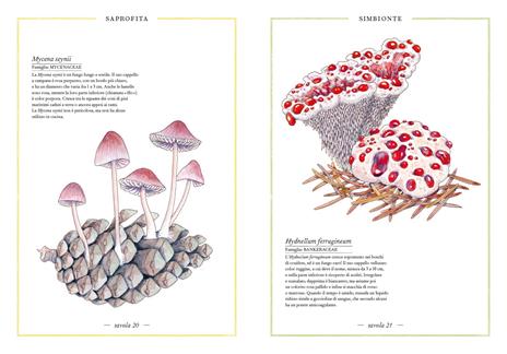 Inventario illustrato dei funghi. Ediz. a colori - Virginie Aladjidi,Caroline Pellissier,Emmanuelle Tchoukriel - 5