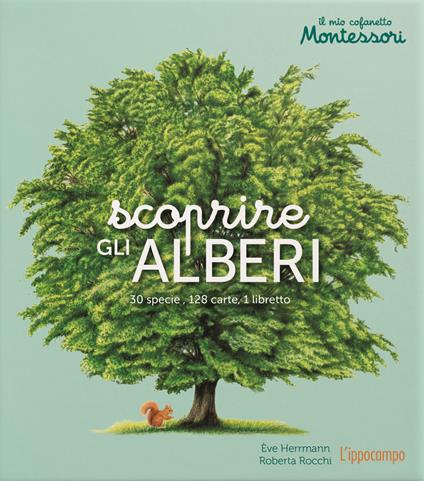 Scoprire gli alberi. Il mio cofanetto Montessori. Ediz. illustrata. Con 128 Carte - Ève Herrmann - copertina