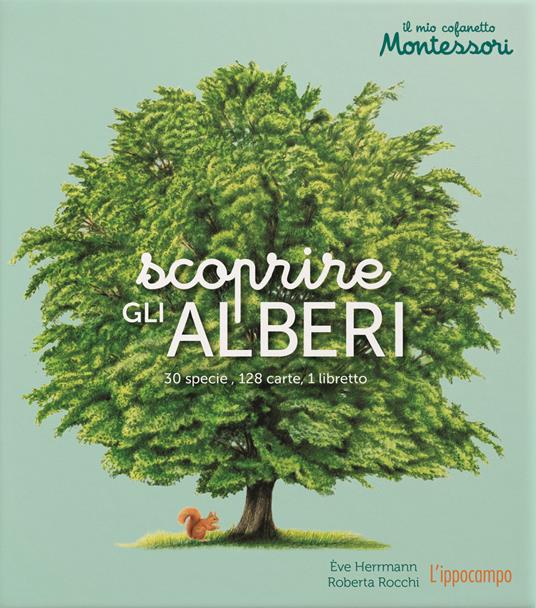 Scoprire gli alberi. Il mio cofanetto Montessori. Ediz. illustrata. Con 128 Carte - Ève Herrmann - copertina