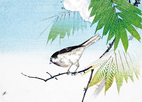 La primavera vista dai maestri della stampa giapponese. Ediz. illustrata - Anne Sefrioui - 4
