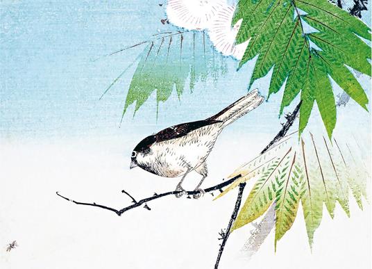 La primavera vista dai maestri della stampa giapponese. Ediz. illustrata - Anne Sefrioui - 4