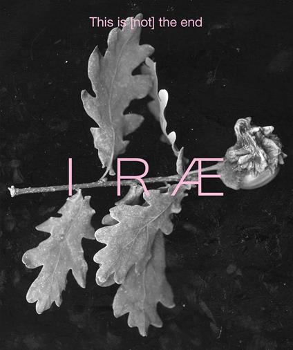 Irae. This is (not) the end. Ediz. italiana. Vol. 2 - copertina