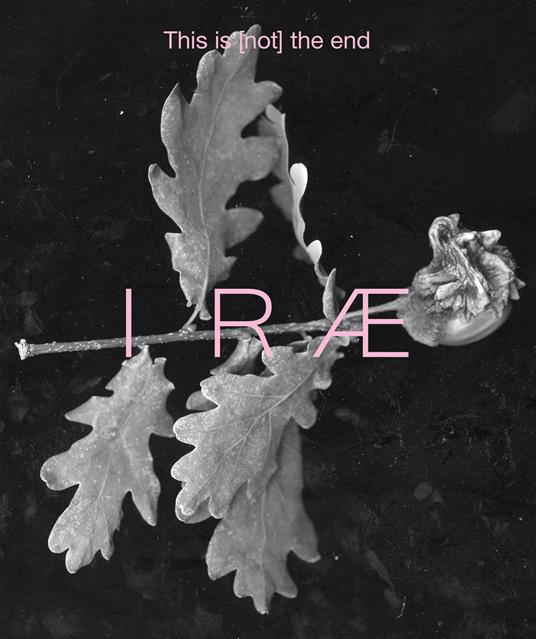 Irae. This is (not) the end. Ediz. italiana. Vol. 2 - copertina